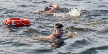 Моржи на Мухавце в Бресте