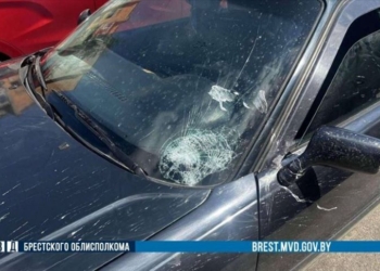 74-летний житель Пинска сбил несовершеннолетнюю на пешеходном переходе и скрылся