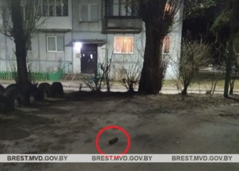 В Бресте нашли снаряд времен ВОВ