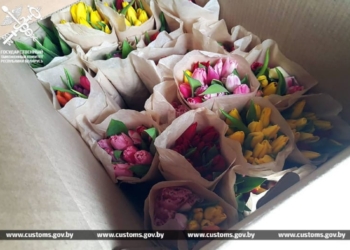 Цветам таможня дает добро, если нет нарушения законодательства
