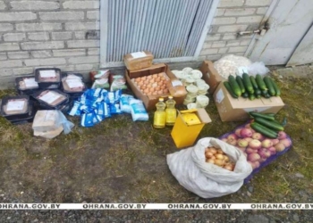 Заведующая пыталась вынести «сэкономленные» продукты из школьной столовой