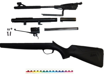 В Лунинецком районе мужчина случайно выстрелил себе в руку из пневматической винтовки