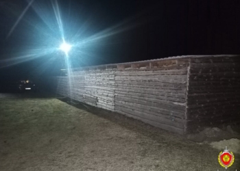 В Ивацевичском районе бык затоптал мужчину