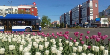 «Цветущий май» в Бресте обещают сделать коммунальные службы города