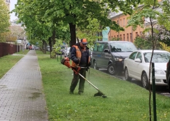 В Брест возвращаются сезонные звуки триммеров и запах свежескошенной травы