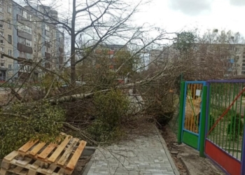 Последствия природной стихии в Брестской области