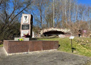 проект Цифровая звезда