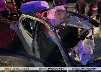 Лось внезапно выбежал на дорогу в Барановичском районе перед машиной