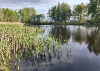 Рыбалка жителю Пружанского района может стоить трех лет лишения свободы