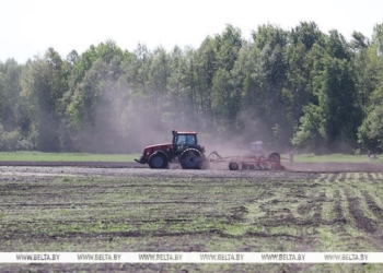 Брестская область — одна из наиболее пострадавших от погодных катаклизмов