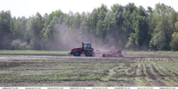 Брестская область — одна из наиболее пострадавших от погодных катаклизмов