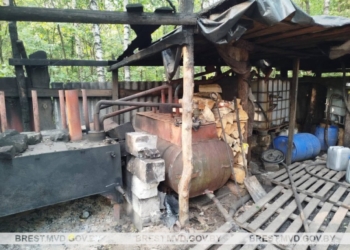 Самогонщик-«стахановец» выявлен в Пружанском районе. Уничтожены тонны браги