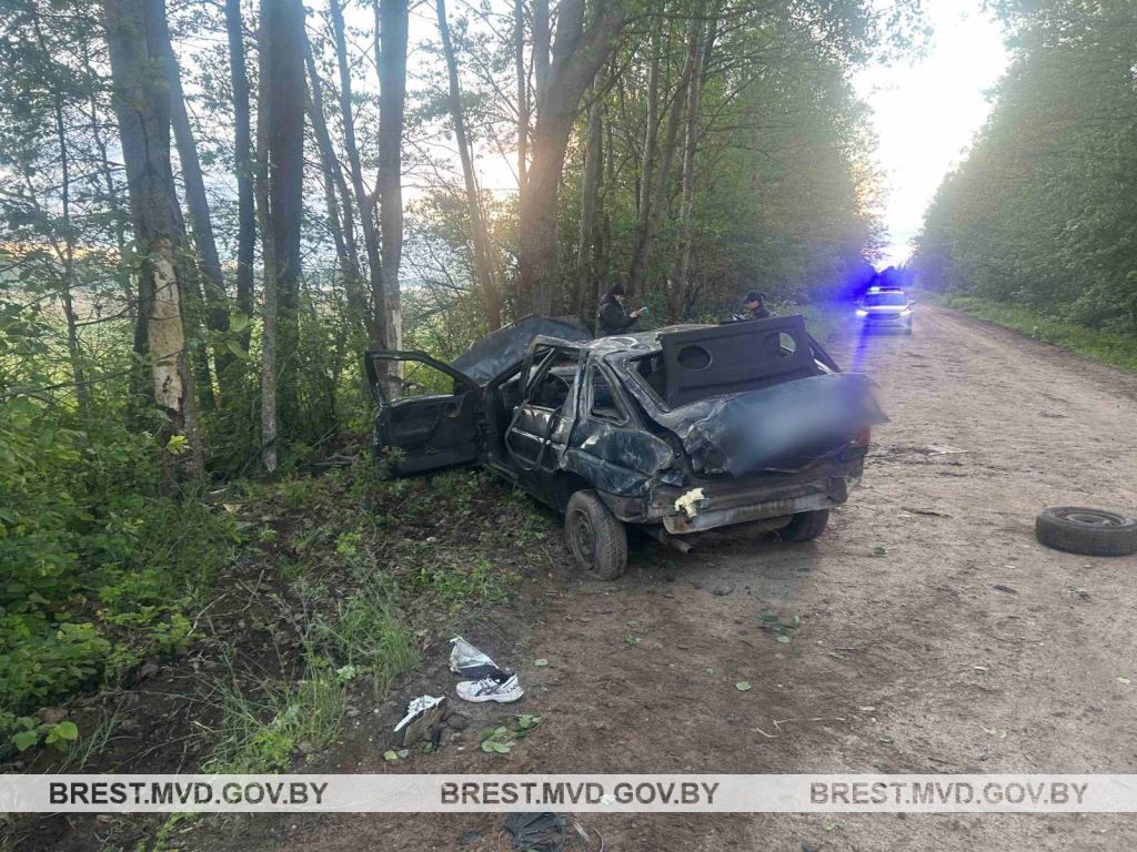 Четыре человека в Брестской области за неделю погибли в ДТП, восемь человек травмированы