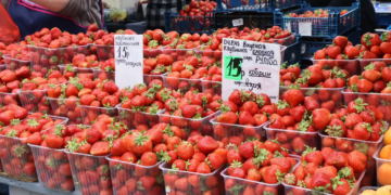 Клубника фрукты