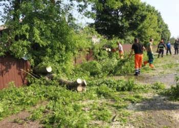 Сегодня утром природная стихия разыгралась в Столинском районе