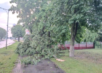 Вчера вечером от непогоды досталось Малоритскому району