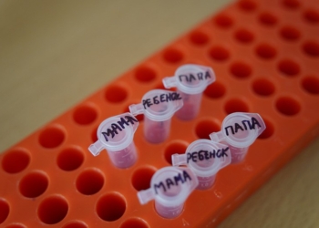 Многодетный отец из Брестского района получил подтверждение отцовства шестерых детей