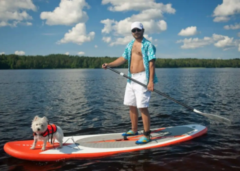 сапбординг