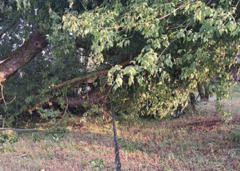 ураган на Брестчине