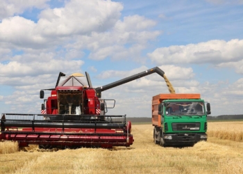 Началась жатва на Брестчине