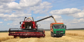 Началась жатва на Брестчине