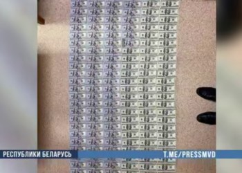 Брестские правоохранители задержали курьера мошенников — жителя соседней страны