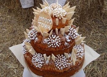 Пружанский район первым в Брестской области достиг отметки в 100 тысяч тонн намолоченного зерна