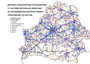 В Беларуси разработали карт-схему мест ДТП с участием охотничьих животных за 2024 год