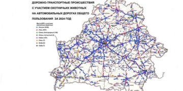 В Беларуси разработали карт-схему мест ДТП с участием охотничьих животных за 2024 год