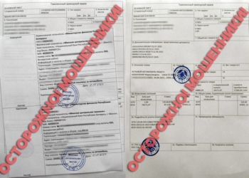 Таможня: уже сотни обращений от обманутых, желающих приобрести авто за границей