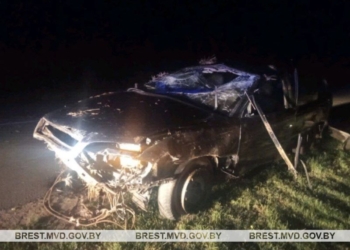 Авария в Пружанском районе из-за дикого животного на дороге, пострадали водитель и пассажир авто