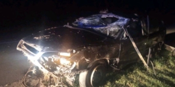 Авария в Пружанском районе из-за дикого животного на дороге, пострадали водитель и пассажир авто