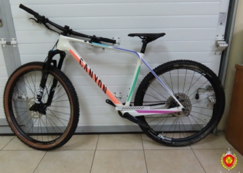 «Canyon» за 8 тыс. рублей не прошел по «зеленому» коридору