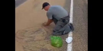 Рассыпанное на дороге зерно привлекло внимание прокуратуры