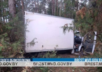 В Пружанском районе автофургон наехал на лося