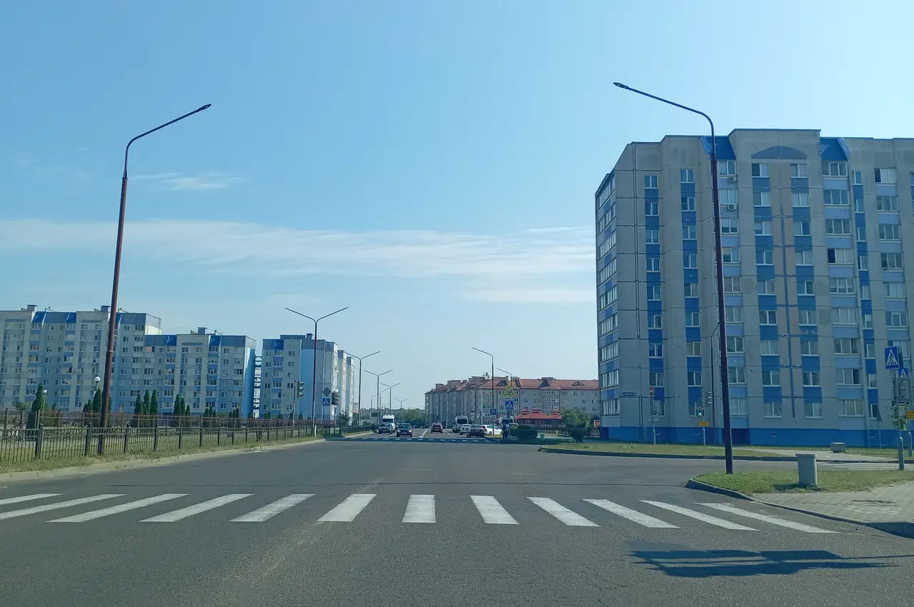 Озеленение Из окна редакции