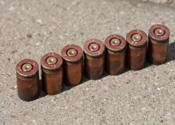 2 года ограничения свободы получил житель Лунинецкого района за хранение оставшихся от отца винтовки и патронов