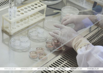 Вторую бесплатную попытку ЭКО могут начать предоставлять в Беларуси с 2026 года