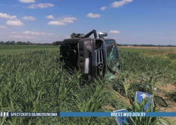 Вину признал, мер к возмещению морального вреда и расходов на оказание медпомощи не предпринял