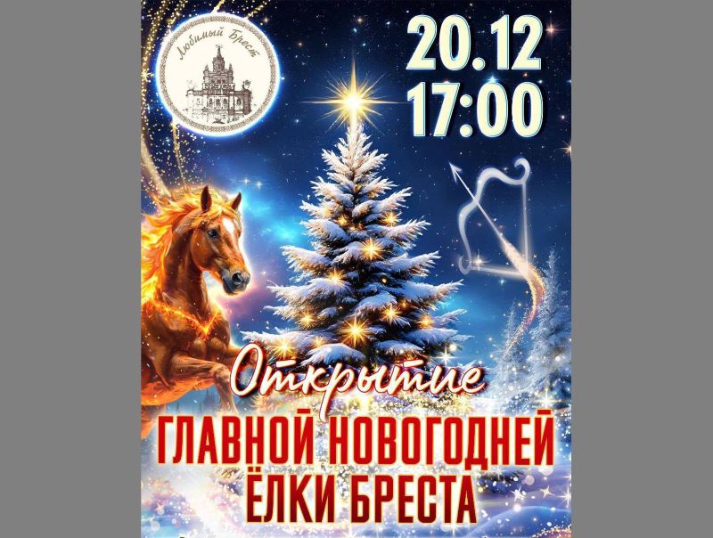 20 декабря в 17:00 откроют главную новогоднюю елку Бреста