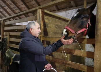 пегас Брест