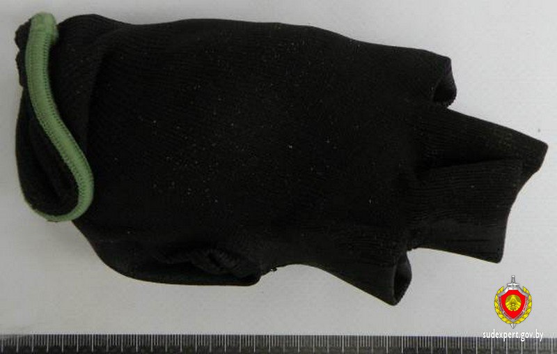 Перчатка с «секретом», который раскрыли судебные эксперты