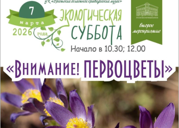 Скоро весна! Время встречать первоцветы