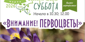 Скоро весна! Время встречать первоцветы