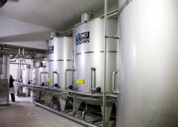 Брестское пиво