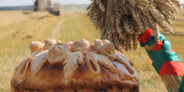 В Барановичском районе начали подготовку к областным «Дажынкам»