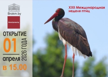 Краеведческий музей Бреста приглашает на выставки, посвященные Международной неделе птиц