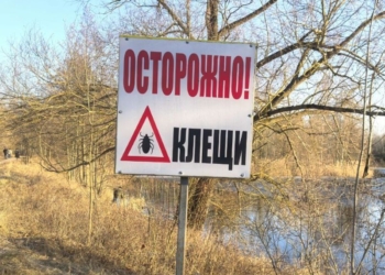 ЦГиЭ: клещи «проснулись» и их активность и численность будет только возрастать!