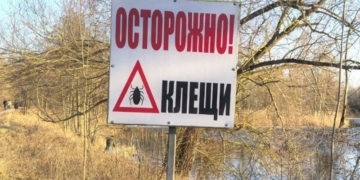 ЦГиЭ: клещи «проснулись» и их активность и численность будет только возрастать!