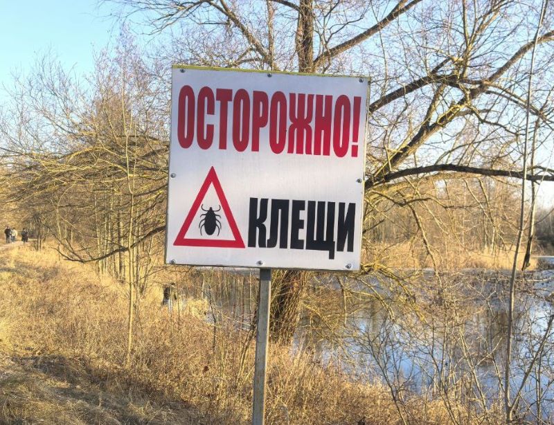 ЦГиЭ: клещи «проснулись» и их активность и численность будет только возрастать!
